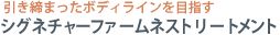 深いリラックス効果　シグネチャーファームネストリートメント