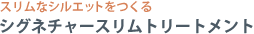 スリムなシルエットをつくる　シグネチャースリムトリートメント